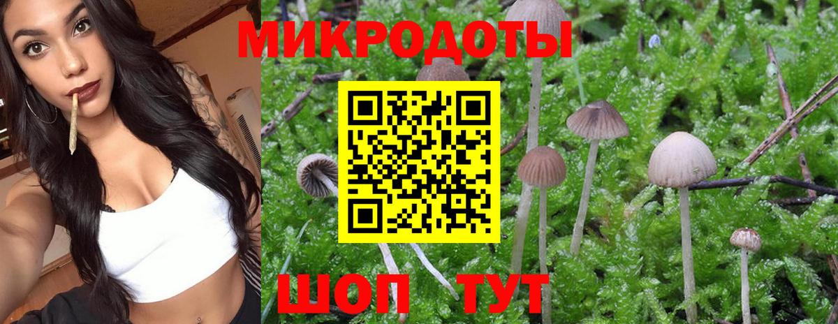 Можайск  Псилоцибиновые грибы прущие грибы  Вход с VPN 