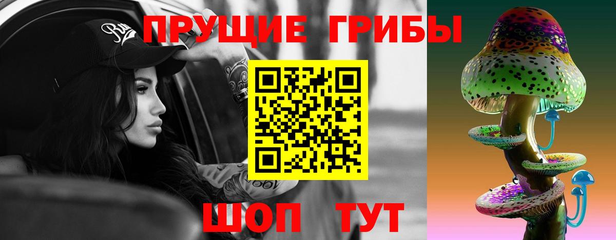 Псилоцибиновые грибы мицелий Можайск